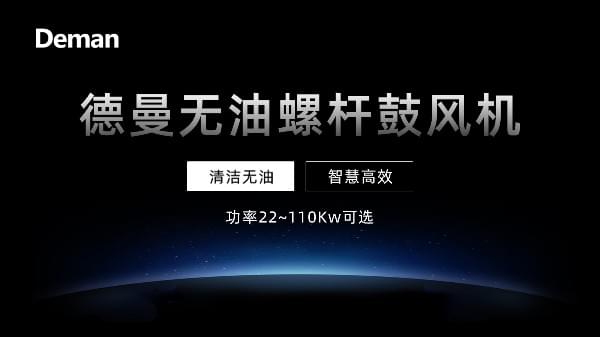 德曼無(wú)油螺桿鼓風(fēng)機(jī):永磁變頻,功率22~110Kw可選